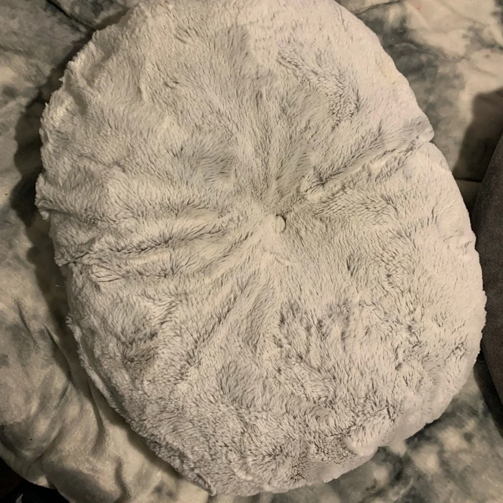 Cat bed